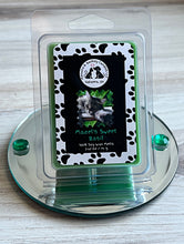 Load image into Gallery viewer, Mazel&#39;s Sweet Basil - Soy Clamshell Wax Melts - Sweet Basil Scent
